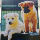 흑룡한의원 이미지