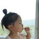 나로베어하우스 | 전남 고흥펜션 아이와 함께 나로베어하우스 후기