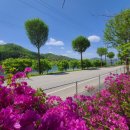 백가네칡냉면 이미지