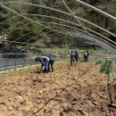 삼태산농촌체험휴양마을 이미지