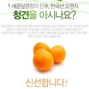 [판매중] 산지 직송 섭스네 평안농장 청견 오렌지, 한라봉(소량 추가판매) 올해도 왔어요^^ 이미지
