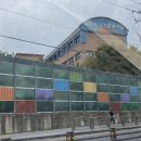 양촌초등학교 맞은편 이미지