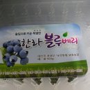 한라농장 이미지