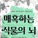 매혹하는 식물의 뇌 | 스테파노 만쿠소 | 행성B이오스 - 예스24﻿ 이미지