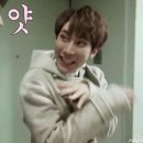 빠라빠라 이미지