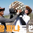 가브리엘 농장 이미지