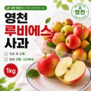 통큰생오리영천점 | 경북 영천 루비에스 사과 1kg, 주문 후 수확해 보내주는 미니사과