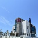 제주도 오마카세 스시 생일 맛집 제주 스시연 점심 디너 내돈내산 추천 후기