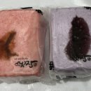 떡짱