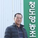 아이스홍시 청도영농조합