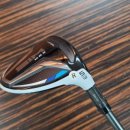 블루우드 이미지