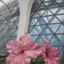 오정식물원 이미지