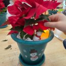 대구봉무초등학교 이미지