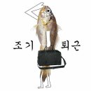 12월 라스트 팡 !