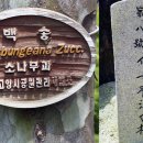 백송환경
