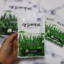 대농신비료 | 알로에즙 대동알로에 알로에 엑기스 먹고 건강해져요!