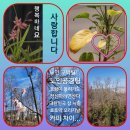 기쁨플러스약국 이미지