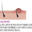 제이띠크