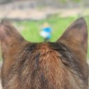 산골짜기 이미지