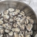 벌교꼬막 직거래 유통 이미지