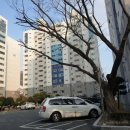 하단동108 이미지