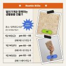 러스틱실레