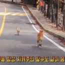 황구건강원 이미지