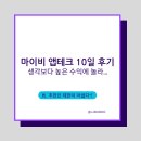 P-7746 | 마이비 앱테크 10일 수익 인증! 생각보다 높은 수익에 놀란다?!