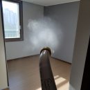 쌍용예가크리닝 이미지