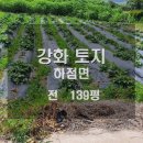 별립산농장 이미지