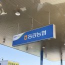 동강주유소 네이버블로그