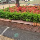 경성목재 티스토리