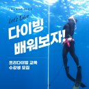 프리다이브오아시스