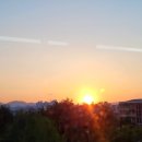 동궁찜닭 용산점 이미지