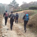 전첨 류세구묘역 이미지