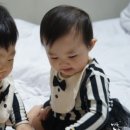 소랑제돌담