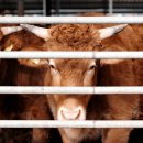 연기면행정복지센터 이미지