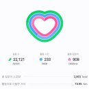 제주 246 | 찐뚜벅이의 제주 혼여행 🧳🍊