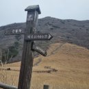 명산사슴농장 이미지