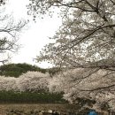 버들농원 이미지