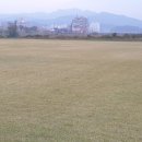 청미천 축구장 이미지