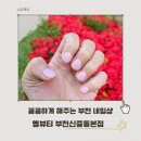 지나뷰티 | 부천 네일샵 옐뷰티 부천신중동본점 꼼꼼한 젤 네일아트 추천