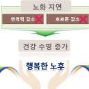 유니베라남양알로에 - 화성시 병점2로 15 | 유니베라남양알로에