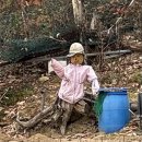 해파랑길 45코스 | 갑자기 속초 해파랑길 45코스::영랑호/신토불이감자옹심이/팡파미유/세렝게티 베이크샵/갯배/보사노바...