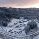 숲뒤1 | 오대산 월정사 전나무숲 설경 후기｜1월 힐링 여행지 추천 (조용히 걷기 좋은 곳)