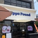 전주 완산 한옥마을 근처 베이글샌드/디저트 맛집 ‘히포파운드’ 내돈내산 후기
