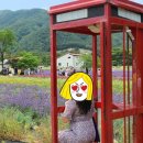 경포팜