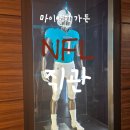 하드스포츠 | 마이애미 NFL 풋볼 미식축구 하드락 스타디움 돌핀스 스포츠 직관 후기