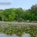 너른마당전 이미지