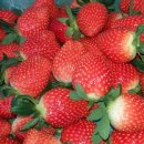 제이엠가정의학과의원 이미지